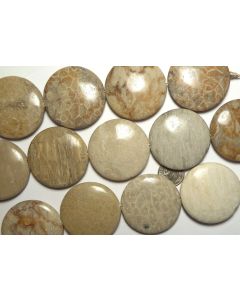 16" Strand  "Petoskey"  FOSSIL CORAL 40mm Coin Pendant Beads NATURAL
