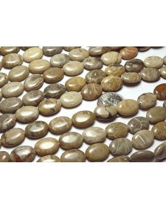 15" Strand  "Petoskey"  FOSSIL CORAL 10x14mm Oval Beads  NATURAL