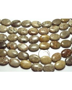 15" Strand  "Petoskey"  FOSSIL CORAL 13x18mm Oval Beads NATURAL