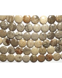 15" Strand  "Petoskey" FOSSIL CORAL 15mm Coin Beads NATURAL